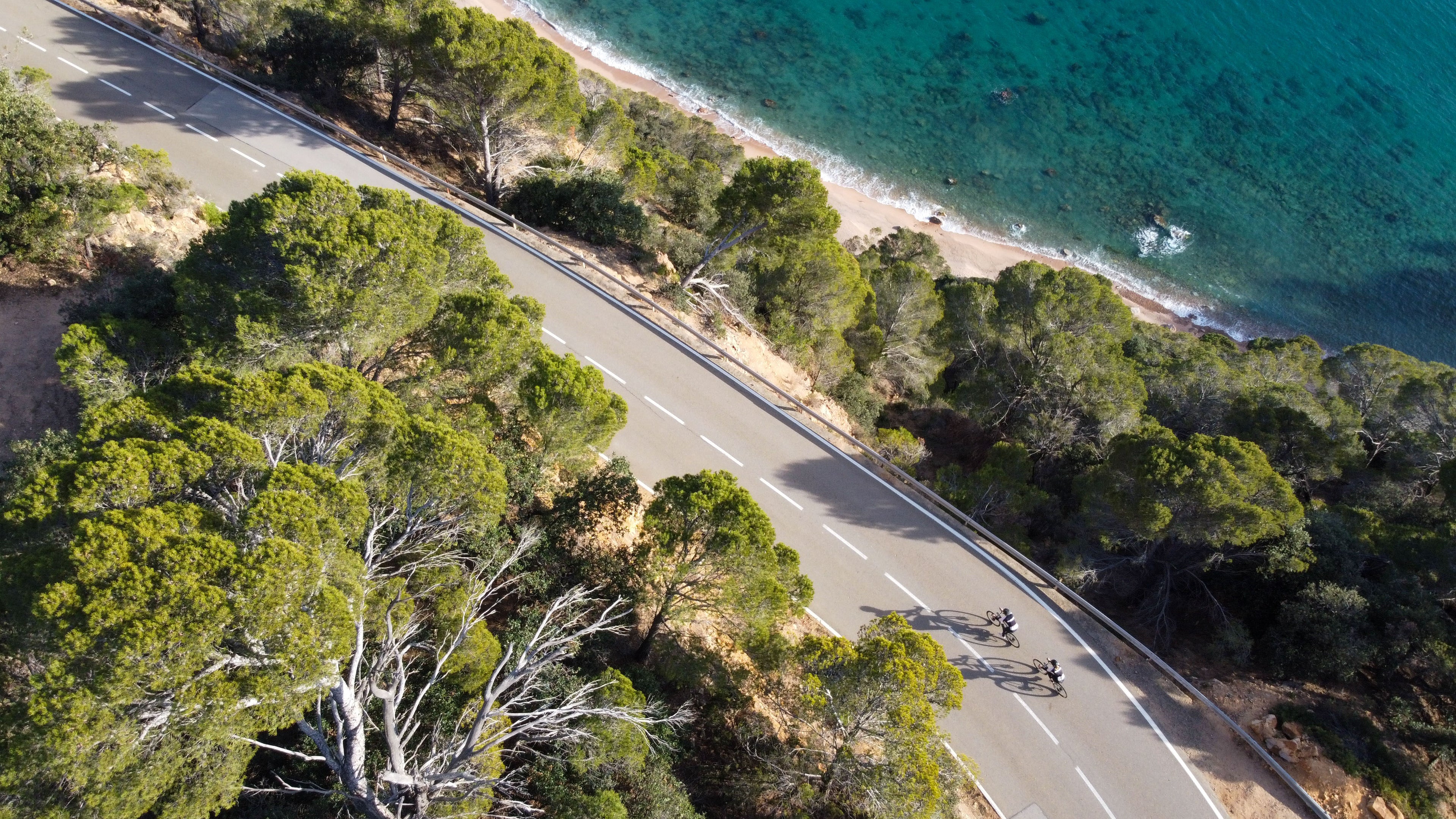 ariel view of cyclists riding alongside the sea